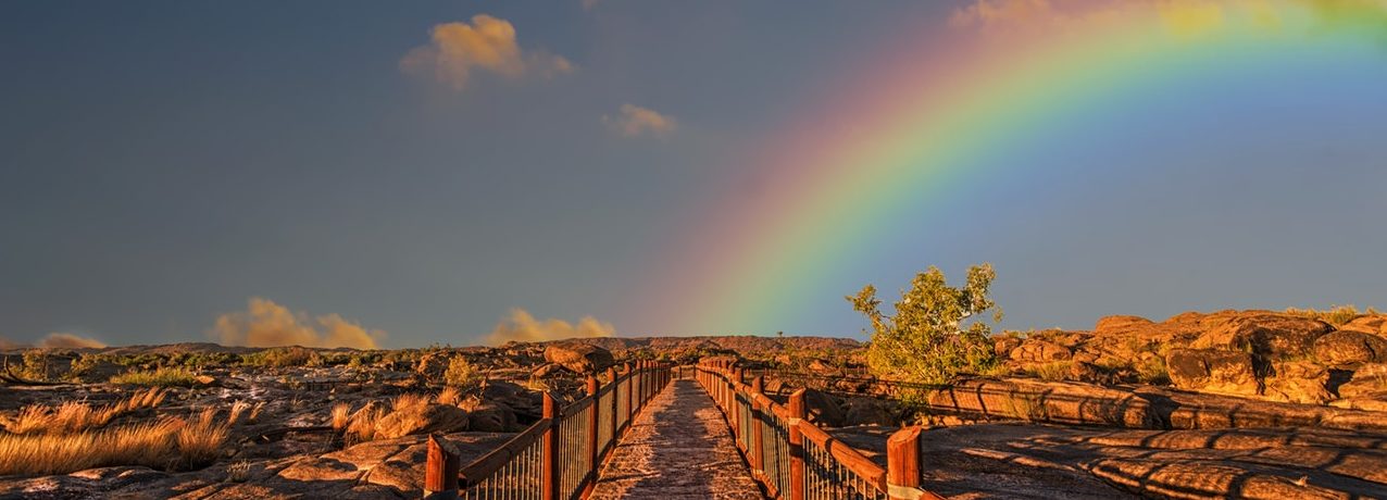 desert rainbow