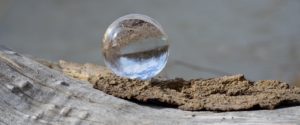 crystal ball by the beach resting on a piece of driftwood