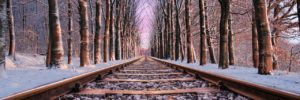 Tree lined railroad tracks