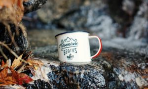 White mug with the words "The Adventure Begins" written on it in blue, resting on astone on a river, with fall leaves in the foreground.